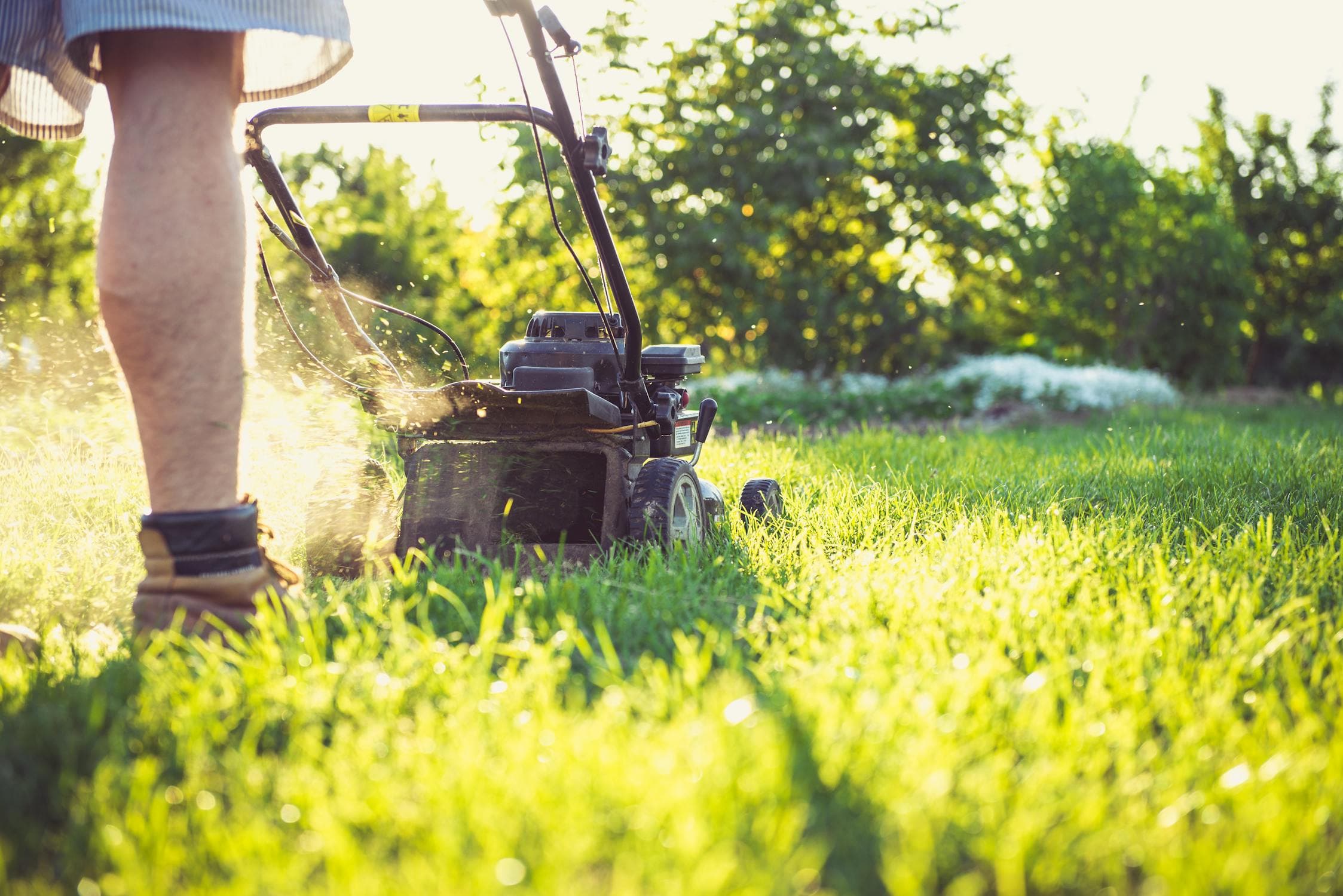 Landscaping services