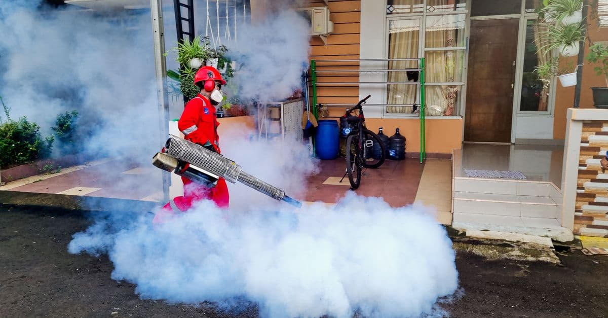 Pest Control SEO: How to Get Year-Round Leads in Australia (2026)