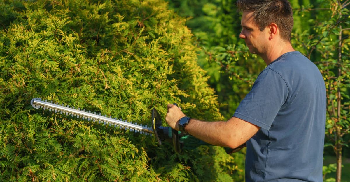 Landscaping SEO: Win Bigger Design and Build Jobs in 2026