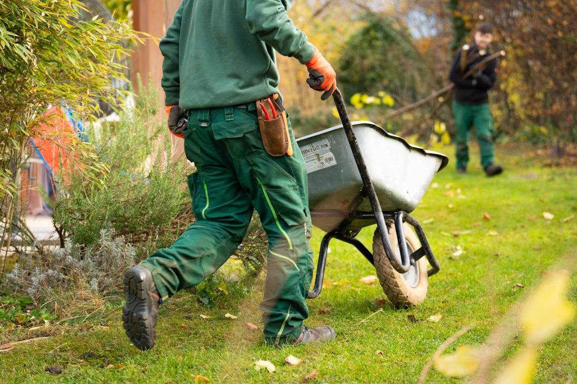 Landscaping professionals working together on a garden project